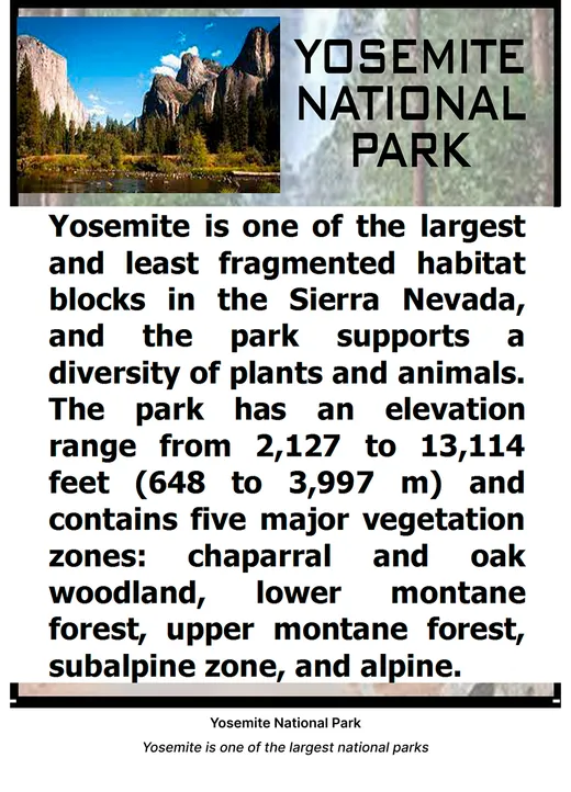 Advertisement: Frame 46